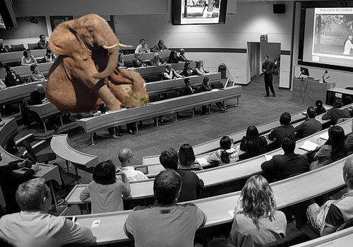 The-elephant-in-the-lecture-theatre-is-how-to-keep-students-after-enrolment.jpg